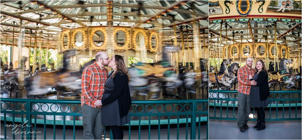 Como Zoo Outside Engagement Session Carousel 