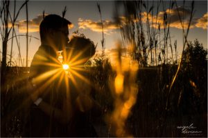 Coldwater Spring Park Minneapolis Engagement Session Sunset through Grass
