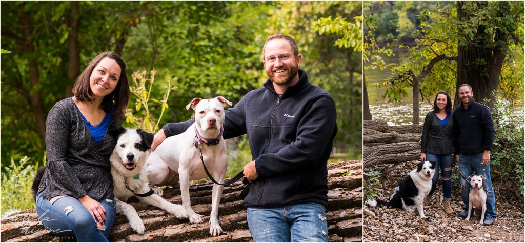Minneapolis pet photographer- Fur is my family project - Maddie the border collie lab and Thule (too-lee) the pit bull