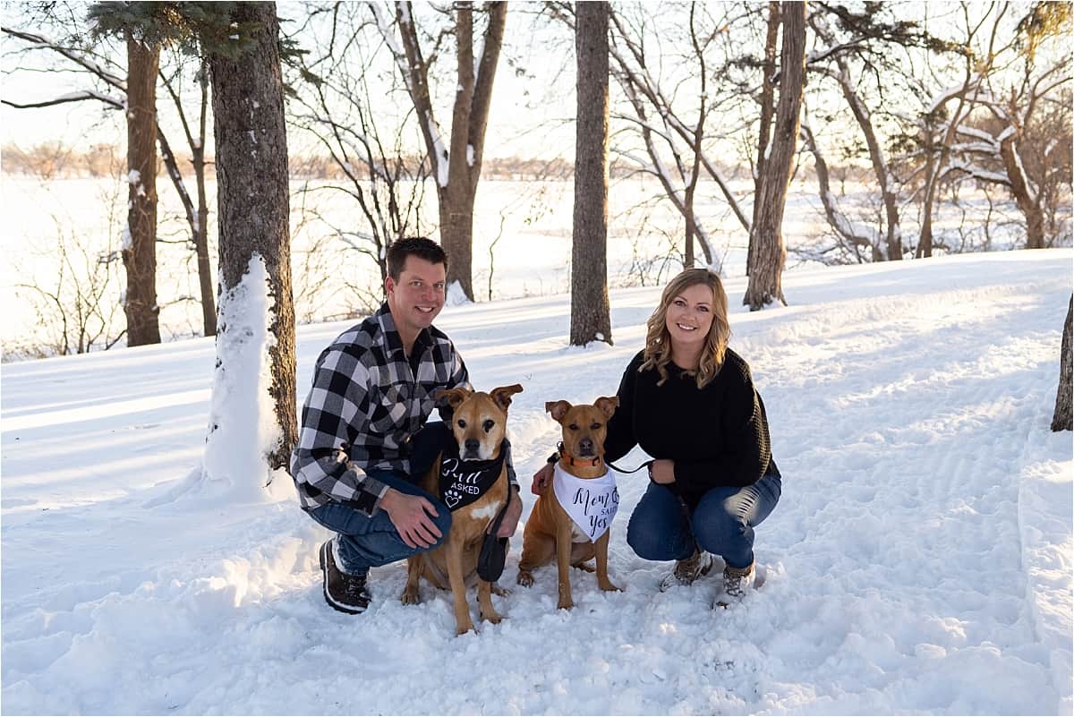 engaged couple posing with dogs in snow